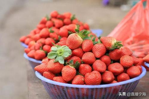 完整国产免费水莓100,免费品尝100份水莓的甜蜜诱惑